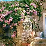 Hotel A Scappata